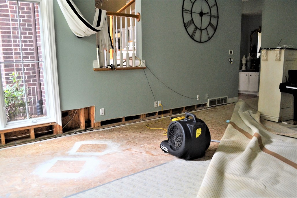 Our staff can come out within an hour to fight mildew and mold.
